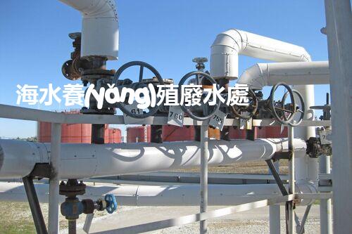 海水養(yǎng)殖廢水處理：以后之路？